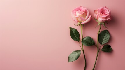 Fototapeta premium Clean and sophisticated image showcasing symbols of strength and femininity for women's day greetings