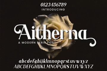 Elegant alphabet letters sans font. classic typography fonts regular uppercase, lowercase. Vector