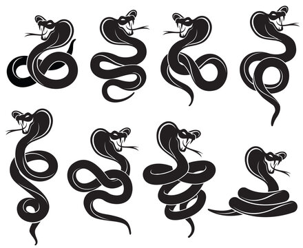 collection of black cobras isolated on white background