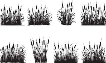 Ponytail Grass Silhouettes EPS Ponytail Grass Vector Ponytail Grass Clipart	
