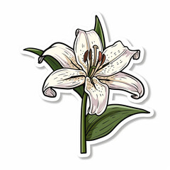 Lily, bright sticker on a white background