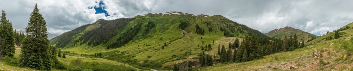 Mountain tundra meadow panorama in the summer with evergreen trees and cloudy skies
