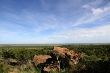 Green and dry black trees, calming water and clouds, The Willem Pretorius Game Reserve is a captivating wildlife sanctuary located in the Free State province of South Africa.