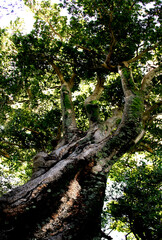 The Willem Pretorius Game Reserve is a captivating wildlife sanctuary located in the Free State province of South Africa.