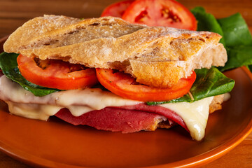 artisanal baguette sandwich with melted mozzarella, mortadella, arugula and tomato slices