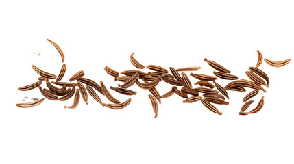 Macro cumin, caraway seeds line isolated transparent backgrounds  - obrazy, fototapety, plakaty