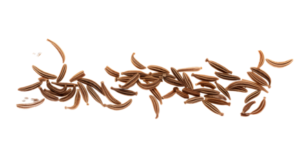 Macro cumin, caraway seeds line isolated transparent backgrounds 