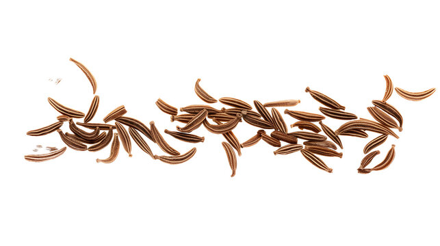 Macro cumin, caraway seeds line isolated transparent backgrounds 
