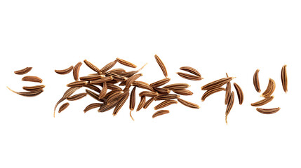Macro cumin, caraway seeds line isolated on transparent backgrounds 