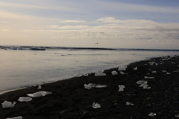 View of icebergs on the Diamond Beach in southern part of Vatnaj&ouml;kull National Park, Iceland