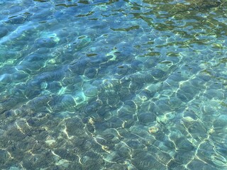 Sea clear surface underwater aqua algae blue turquoise.
