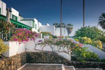 Flourishing bougainvillea on the white wall at tourist accommodation