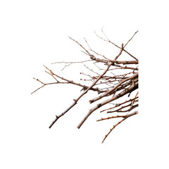 High-Quality PNG Image of a Pile of Dry Tree Branches Isolated on White Background