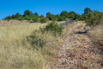 Summer Landscape of Rudina mountain, Bulgaria
