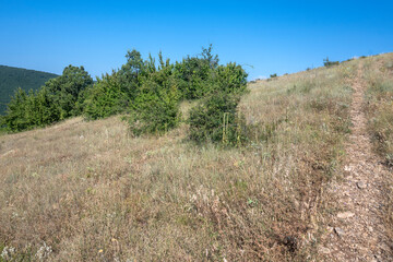 Obraz premium Summer Landscape of Rudina mountain, Bulgaria