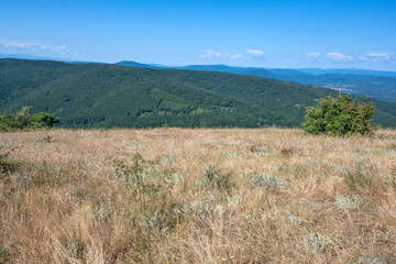 Summer Landscape of Rudina mountain, Bulgaria