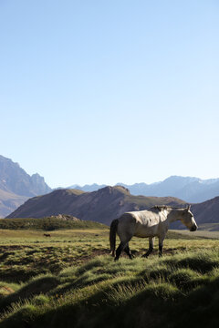 Caballo en paisaje de monta&ntilde;a