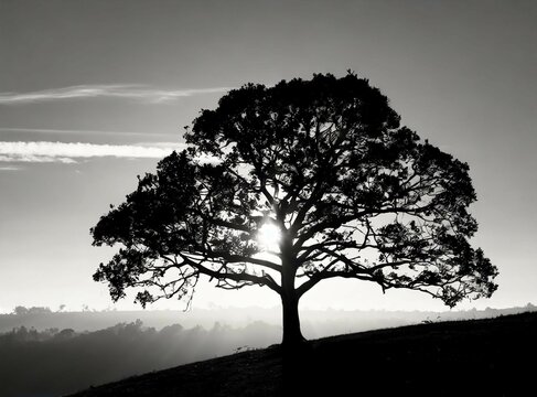 Big tree on a hill. Monochrome landscape photography.
