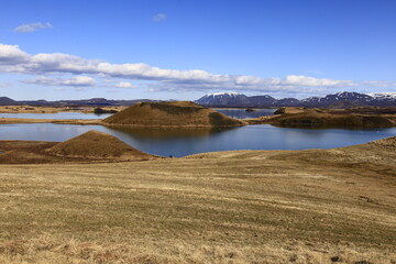 Mývatn is a shallow lake situated in an area of active volcanism in the north of Iceland, near...