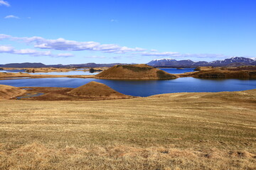 Mývatn is a shallow lake situated in an area of active volcanism in the north of Iceland, near...