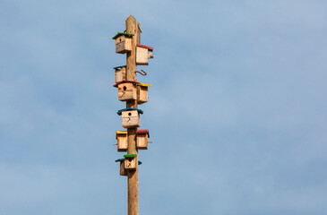 Pole with many bird boxes atached