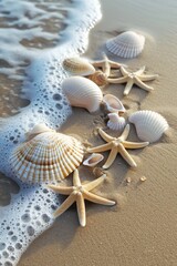 Fototapeta na wymiar Starfish and Seashells on a Sandy Beach