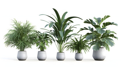Plants in 3d renderinBeautiful plant