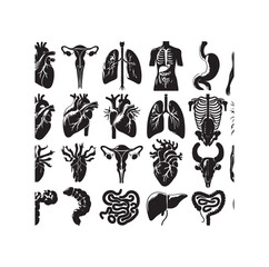 human organ Collection silhouette. internal isolated organs set. Vector flat graphic design illustration