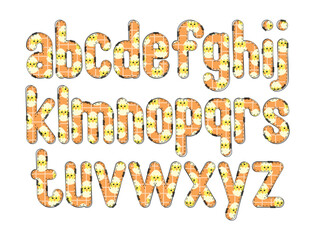 Versatile Collection of Chick Charm Alphabet Letters for Various Uses
