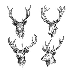 deer head silhouette