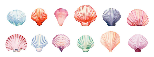 Seashells clipart. Watercolor seashell isolated on white background. Underwater and beach objects, decorative elements for aquarium, vector set
