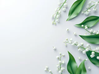 Fototapete Fleurs sur fond blanc : vision minimaliste d'une plusieurs brins de muguet © Leopoldine