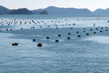 View of the oyster farm in the blue sea