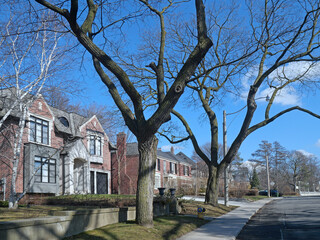 Tree lined residential street with traditional two story detached homes - 732091475