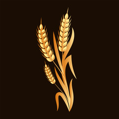 Spikelets of wheat, rye, barley, gold design on a dark background. Decor element, logo, icon, vector