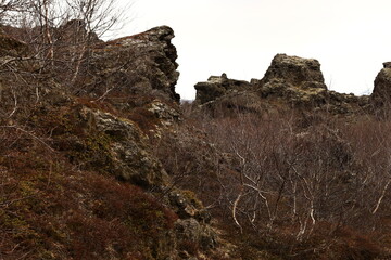 Dimmuborgir is a large area of unusually shaped lava fields east of Mývatn in Iceland