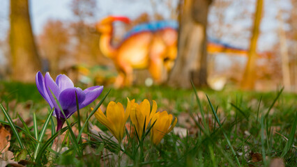 A dinosaur statue in a park surrounded by colorful crocuses. Spring bliss and natural beauty. Ideal for seasonal images. 