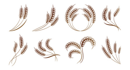 Set of spikelets of wheat, rye, barley. Brown design. Decor elements, logos, icons, vector