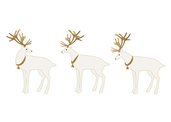 並ぶ３頭の首輪とベルを着けた白いトナカイ