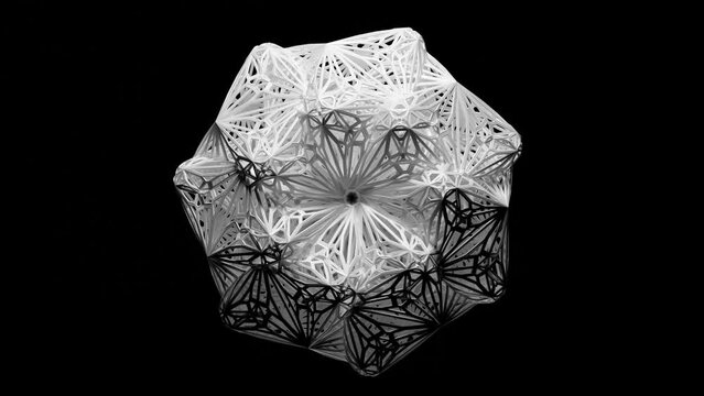 3d render of monochrome black and white abstract art video animation with surreal symmetry fractal circular mandala flower based on white plastic wire atomic structure on black background