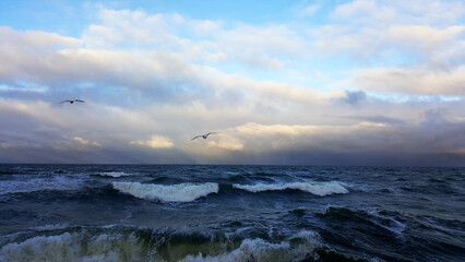 Seagulls against the backdrop of the sea. Waves on the sea. Summer. Birds. Wind.    