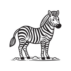 Fototapeta na wymiar Hand drawn zebra outline illustration