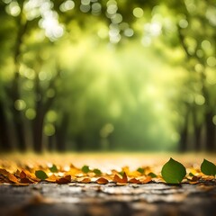 autumn leaves background