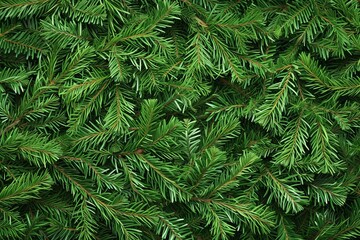 Christmas background with a close-up of green fir branches Embodying the festive spirit and the essence of the holiday season