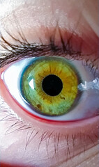 He looks at her through the eye window