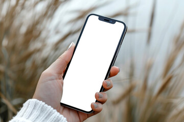 closeup Female hand holding smart phone with mockup white blank display, spikelets of wheat on a sown field in the background, Crop management - obrazy, fototapety, plakaty