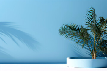 Cylindrical pedestal podium. pot with palm leaves casting shadows on the light blue wall in minimalist style.