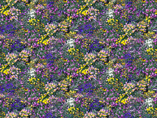 Piante e fiori multicolore in un giardino pubblico della città