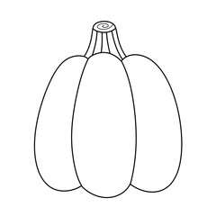pumpkin line icon.