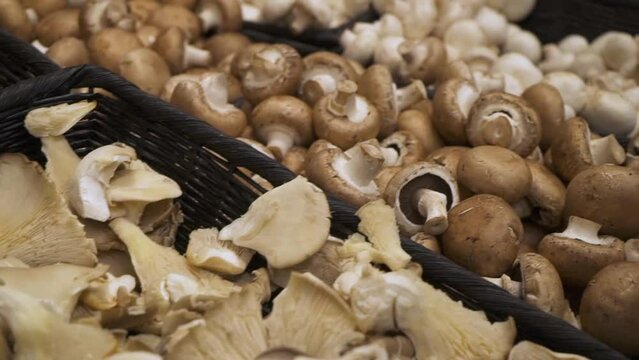 different type of edible mushrooms at the market or grocery store in backer racks